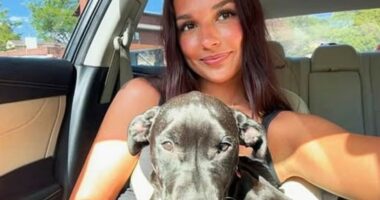 Wyoming Teen Poisons Roommate’s Dog with Antifreeze Shortly After Moving In: Police