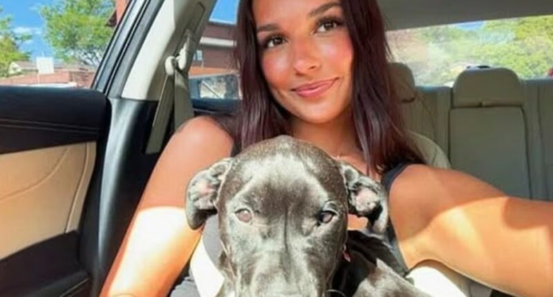 Wyoming Teen Poisons Roommate’s Dog with Antifreeze Shortly After Moving In: Police