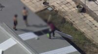 A group of young detainees have climbed to the roof of a building of a detention centre in Perth.