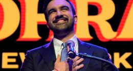 Zohran Mamdani wins NYC mayor's race, capping a stunning ascent