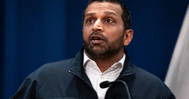 ‘Potential terrorist attack’ thwarted in Michigan: FBI