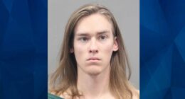 ‘Senseless Act’: Nevada Road Rage Driver Shoots, Kills 11-Year-Old His Way to School