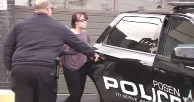 ‘Slender Man’ Stabber Tells Cops ‘Just Google’ Her After She Flees Group Home