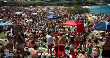 Waverley Council has urged backpackers to stay away from Bronte Beach on Christmas Day.