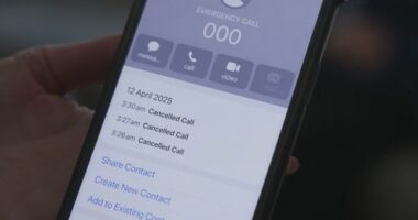 Raquel said calls to triple zero failed in April.