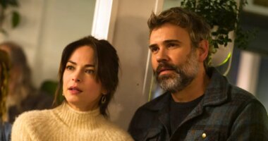 'Murder in a Small Town' Finale Explained: What Happens After That Proposal?