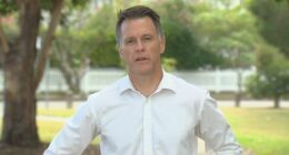 NSW Premier Chris Minns