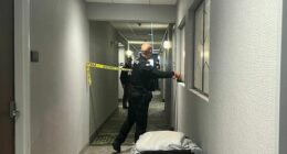 'Person of interest' arrested over deadly US university shooting