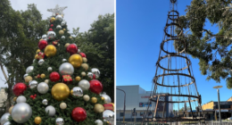A struggling NSW town is devastated that its Christmas tree was destroyed by arsonists less than a fortnight away from the holiday.