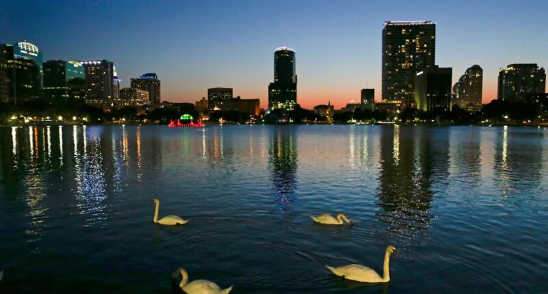 12 swans die suddenly at Florida lake, cause unknown