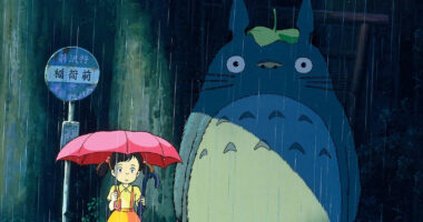 15 Best Movies To Fall Asleep To