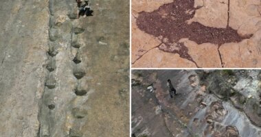 16,000 fossil footprints in central Bolivia reveal dinosaur behavior