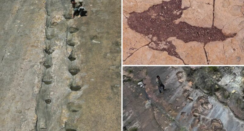 16,000 fossil footprints in central Bolivia reveal dinosaur behavior