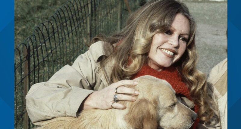 Brigitte Bardot, 1960s sultry sex symbol turned militant animal rights activist dies at 91