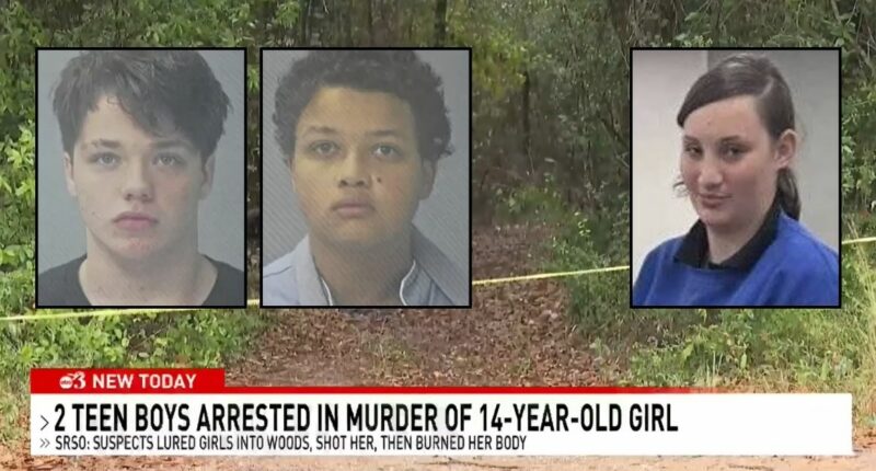 2 teens lured 14-year-old to woods to execute her: Police
