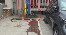 Outside Jackie Jarvis, WA Fisheries Minister's office