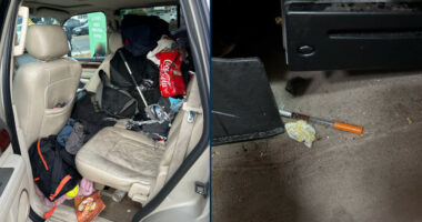 3 Adults Arrested After 5 Kids, 3 Dogs Found Living in Squalid Conditions in SUV