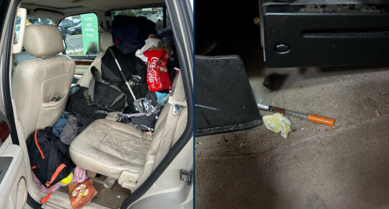 3 Adults Arrested After 5 Kids, 3 Dogs Found Living in Squalid Conditions in SUV