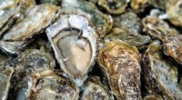 3 South Carolina cases reported in Salmonella outbreak linked to raw oysters