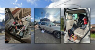3 kids, 2 dogs found living in filthy SUV: Police