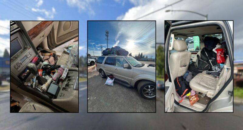 3 kids, 2 dogs found living in filthy SUV: Police