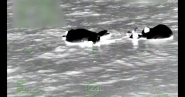 5 boaters rescued by Coast Guard helicopter after boat sinks 28 miles offshore in St. Petersburg