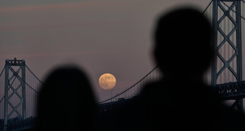 All the eclipses, supermoons, meteor showers and planets to spot in 2026