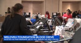 American Red Cross, International WeLoveU Foundation host blood drive in Bolingbrook amid critical need for donations