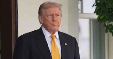 Americans disapprove of Trump's handling of the economy, approve on immigration; Emerson College Polling