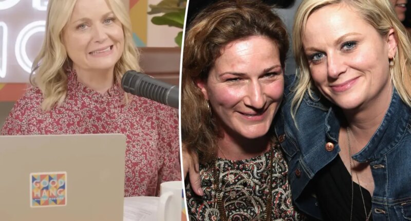Amy Poehler’s Boston roots came out in wild plane fight in front of baby