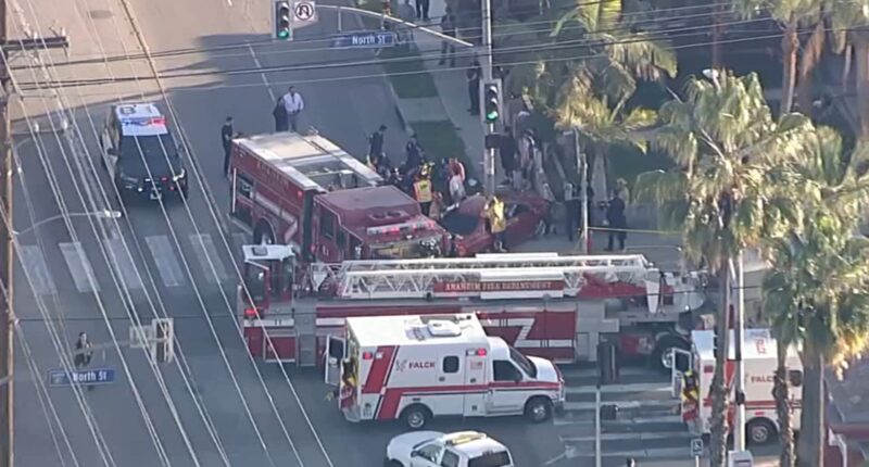 Anaheim, California news: 8 Anaheim High School running team members struck by vehicle in possible DUI crash