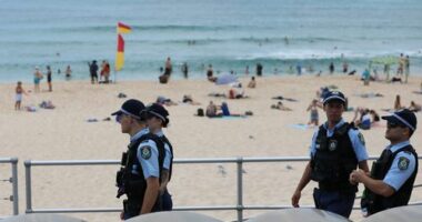 Operation Shelter was first established in October 2023.