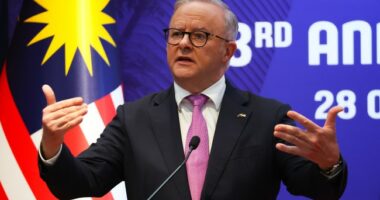 Antisemitic Australia Attack Sparks New, Useless Firearm Surrender Scheme