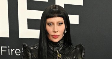 Ariana Grande's Wicked Premiere Accoster Kicked Out of Lady Gaga Show