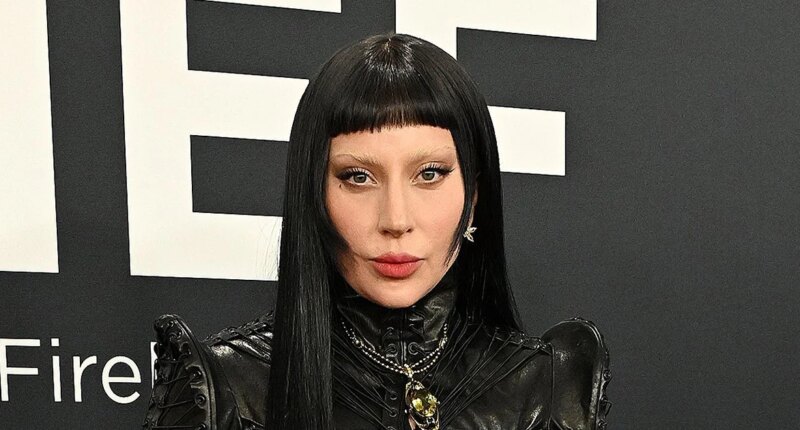 Ariana Grande's Wicked Premiere Accoster Kicked Out of Lady Gaga Show