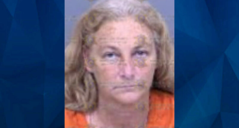 Arizona Woman Admits Slitting Boyfriend’s Throat, Declares ‘Independence Day’