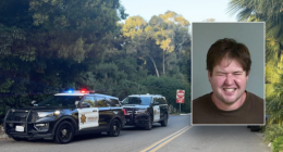 Army veteran accused in Beanie Babies founder mansion break-in claimed pop star controlled him: report