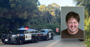 Army veteran accused in Beanie Babies founder mansion break-in claimed pop star controlled him: report