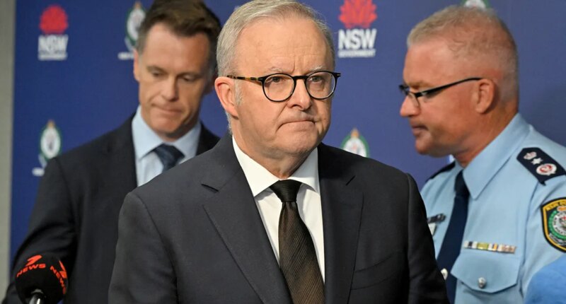 Australia moves to tighten gun laws after Hanukkah mass shooting leaves 15 dead at Bondi Beach