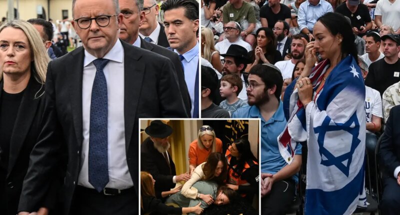 Australian PM Anthony Albanese apologizes to Jewish community after Bondi Beach terror attack, feels 'weight of responsibility'