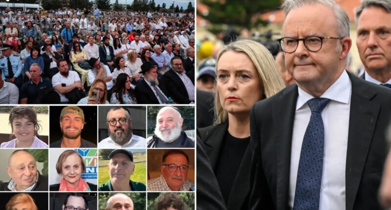 Australian Prime Minister Anthony Albanese heckled at Bondi vigil week after Hanukkah terrorist attack