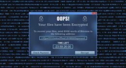 A growing number of Australian businesses are paying ransoms to global crime networks.