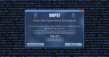 A growing number of Australian businesses are paying ransoms to global crime networks.