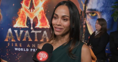 'Avatar: Fire and Ash' stars Zoe Saldana, Sigourney Weaver, James Cameron attend LA premiere