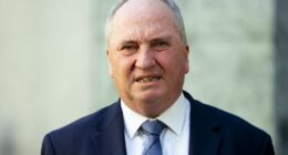 Barnaby Joyce confirms move to One Nation following weeks of speculation