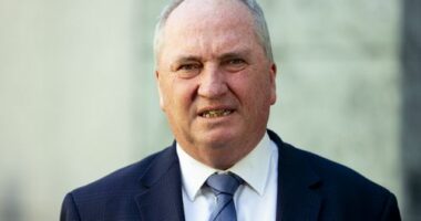 Barnaby Joyce confirms move to One Nation following weeks of speculation