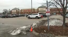 Bensenville man Ismael Andrade Pino accused of trying to kidnap Jewel employee with special needs from York Road store: officials