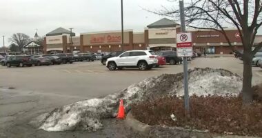 Bensenville man Ismael Andrade Pino accused of trying to kidnap Jewel employee with special needs from York Road store: officials