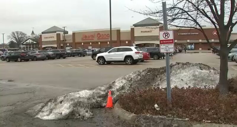 Bensenville man Ismael Andrade Pino accused of trying to kidnap Jewel employee with special needs from York Road store: officials