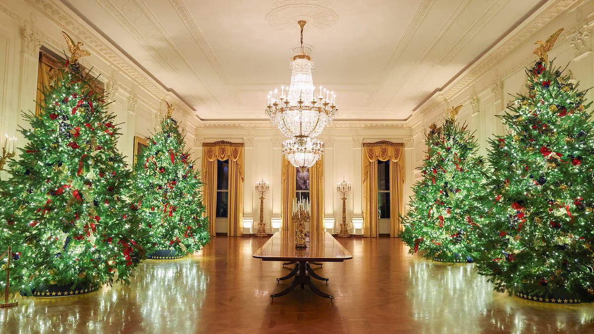 Best White House Christmas decorator revealed by Daily Mail Poll